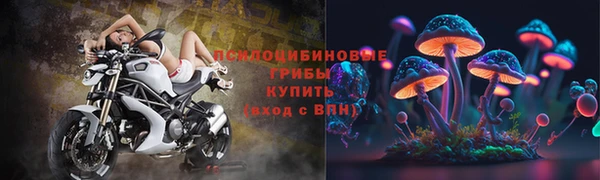 ешки Алексеевка