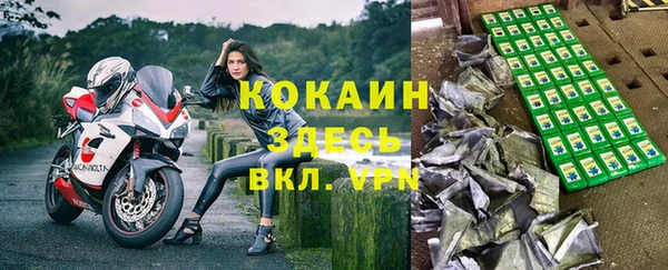 стаф Алексин