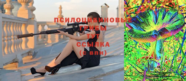ешки Алексеевка