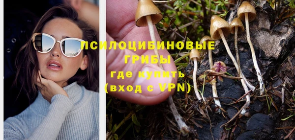 ешки Алексеевка
