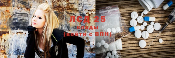 стаф Алексин