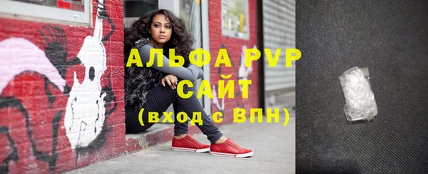 стаф Алексин