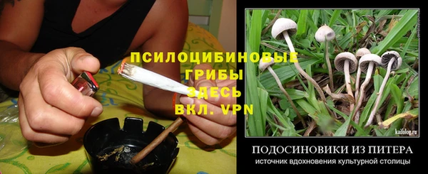 тгк Алзамай